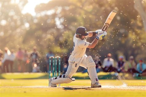 Cricket bet calculator » Bet Calculator.